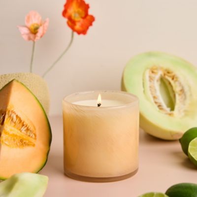 Paloma Melon Classic Candle, 6.5 oz.