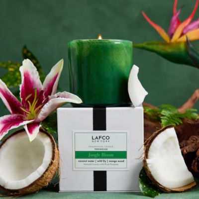 Jungle Bloom Signature Candle, 15.5 oz.