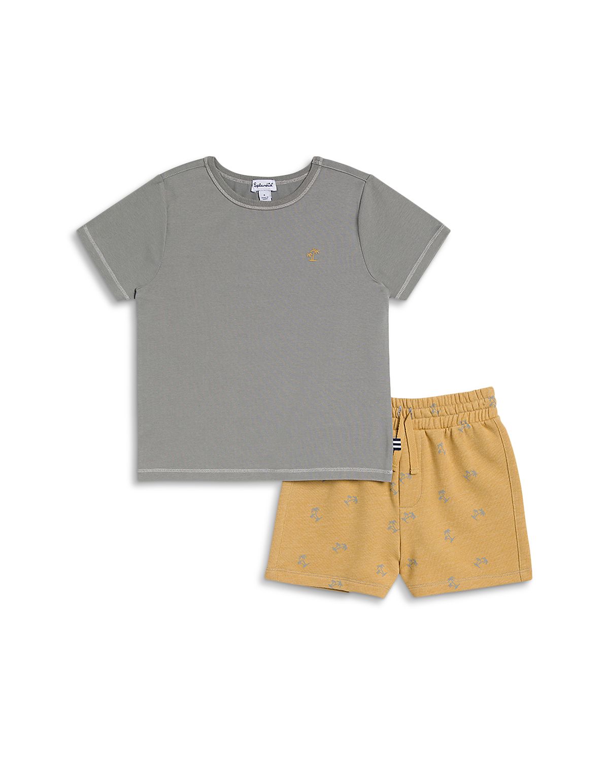 Splendid Boys' Palm Tree Toss Tee & Shorts Set - Little Kid