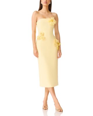 Ilana Floral Appliqu&eacute; Midi Dress