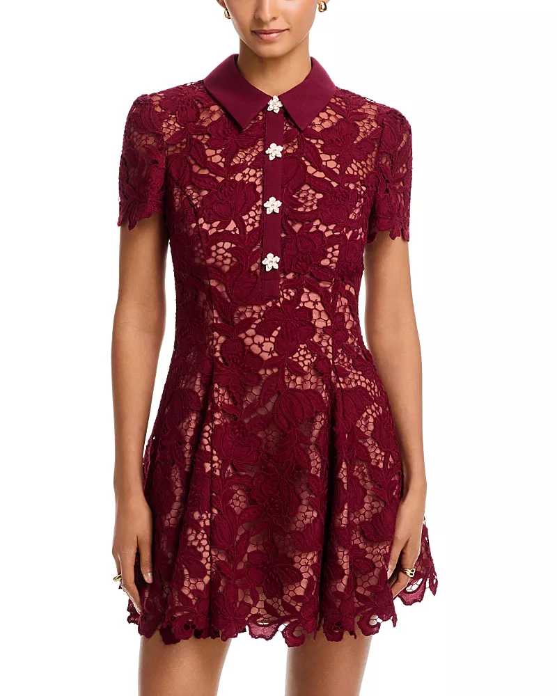 Self-Portrait Mini Lace Dress