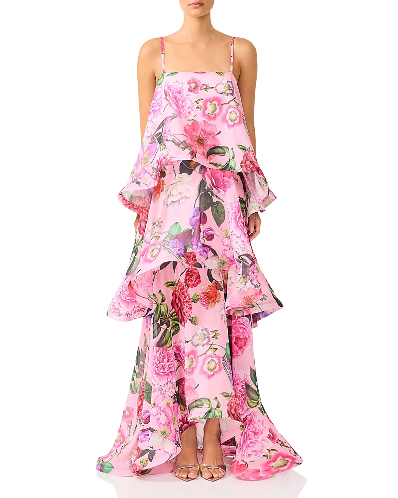 Elliatt Tilly Tiered Maxi Dress