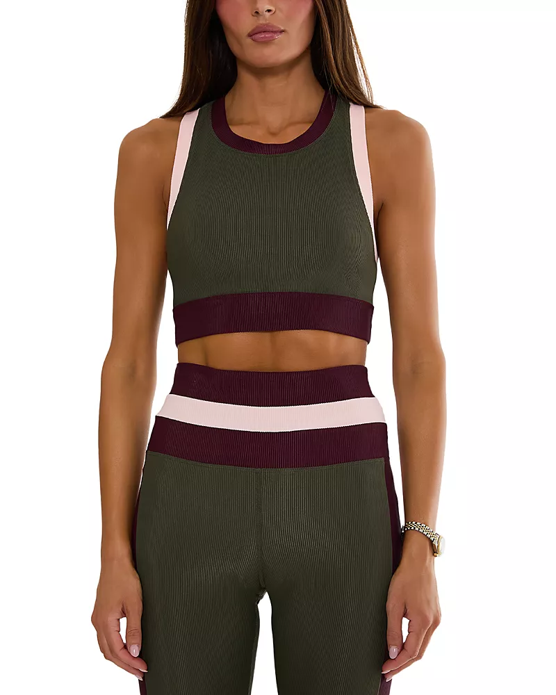 Beach Riot Gwen Color Blocked Cropped Top