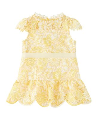  Girls' Cassandra Embroidered Mini Dress - Baby