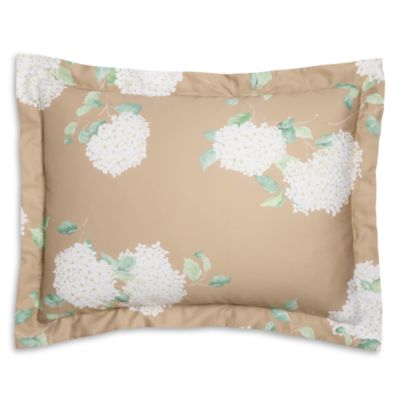 Hortensia Miel King Sham