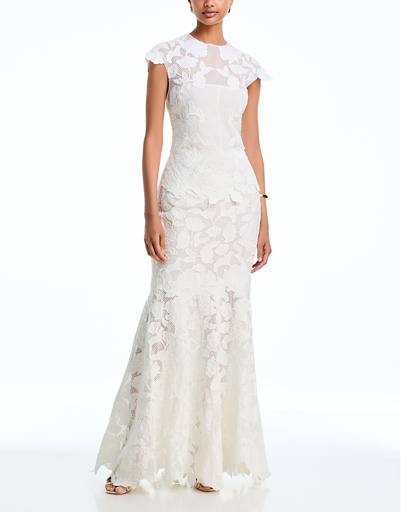 Simkhai Eloisa Embroidered Mermaid Gown