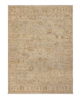 Karastan Sundar Dayalu Area Rug, 6' X 9'