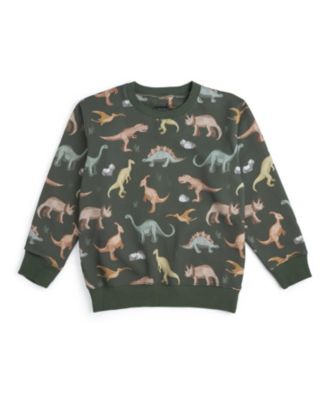 Boys' Dinosaurs Rock Sweatshirt - Little Kid, Big Kid
