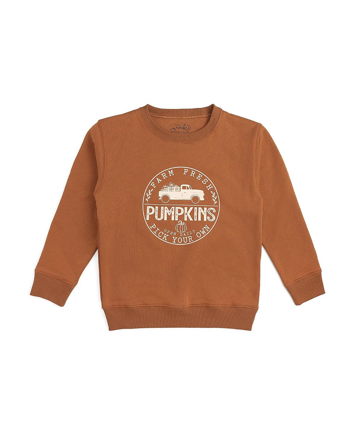 Sweet Wink Boys' Farm Fresh Pumpkins Sweatshirt - Baby, Little Kid