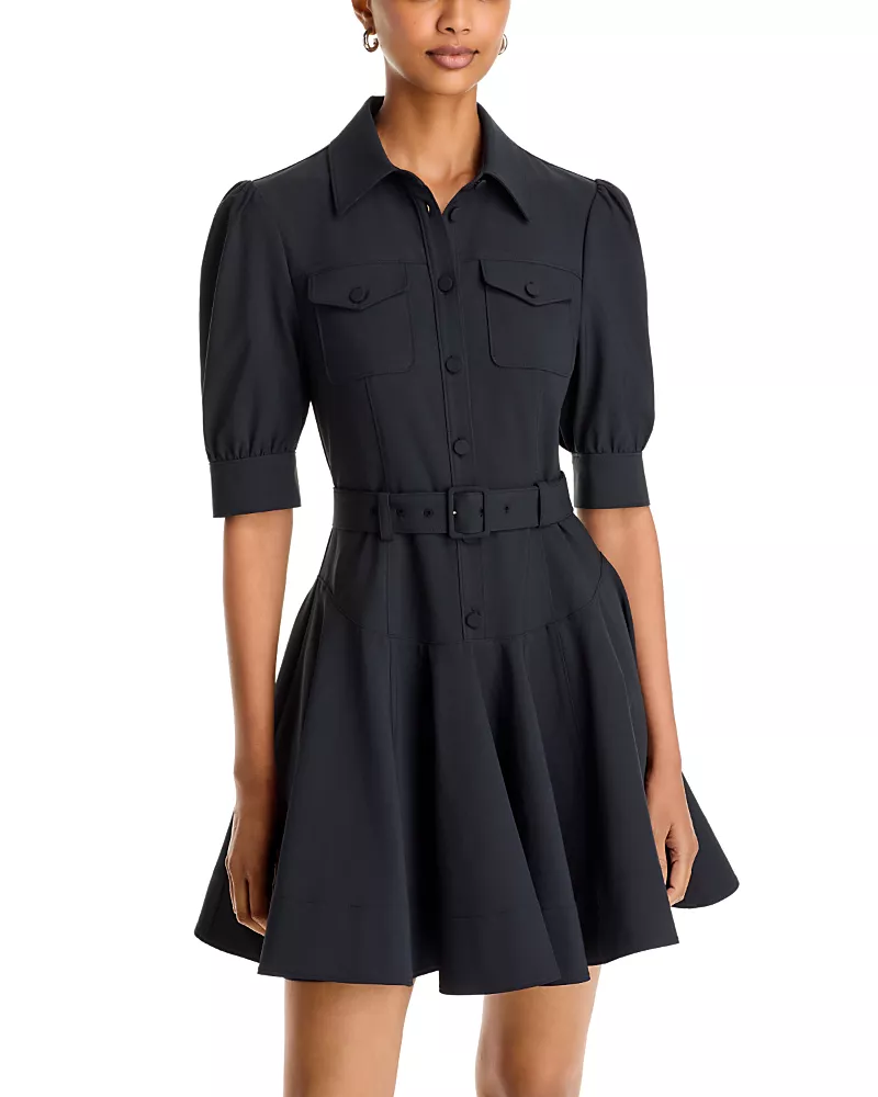 Cinq a Sept Anisa Belted Shirt Dress