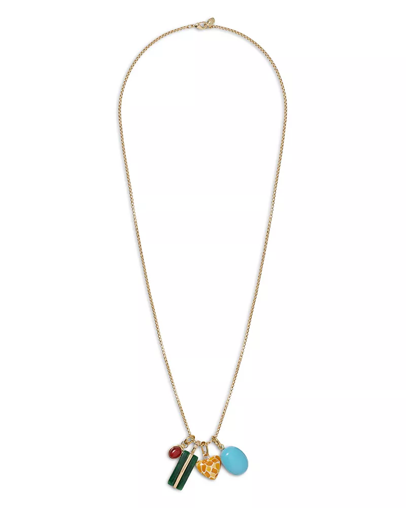 Roxanne Assoulin The Collectibles Multi Charm Pendant Necklace, 28