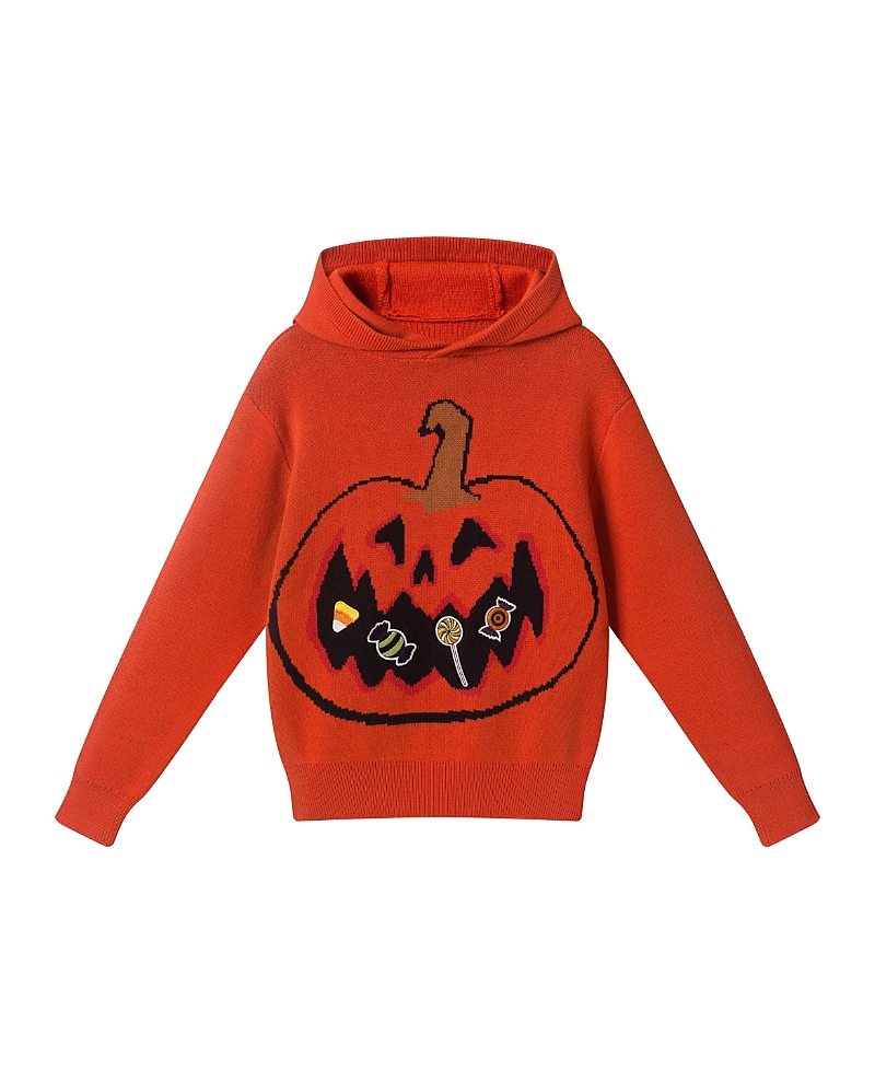 Andy & Evan Boys' Hooded Sweater - Little Kid