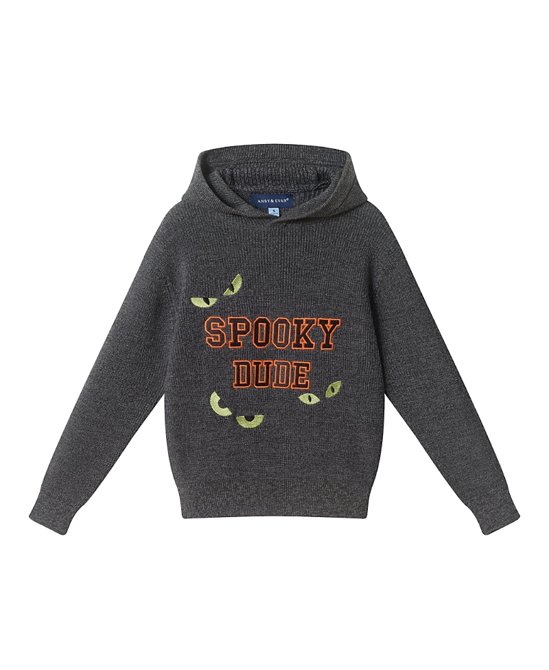 Andy & Evan Boys' Hooded Sweater - Little Kid