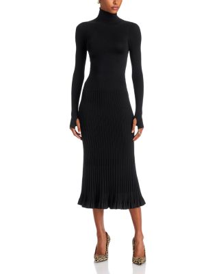 Solaire Turtleneck Long Sleeve Midi Dress
