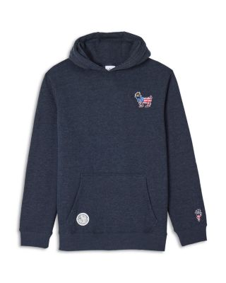 Boys' Chest Logo Hoodie - Little Kid, Big Kid
