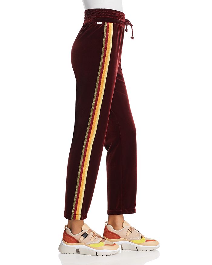 Mother discount velvet pants