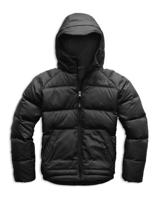 north face big puffer