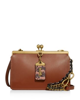 COACH Exotic Details Small Double Frame Bag | Bloomingdale's
