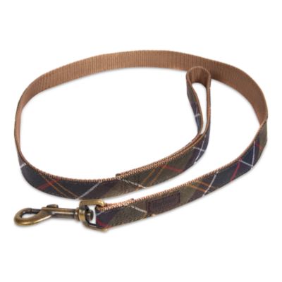 barbour webbing dog collar