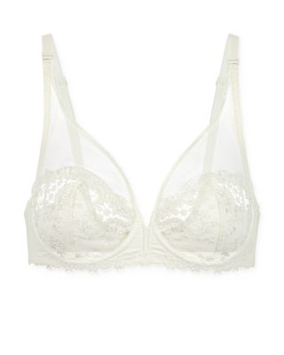 Wish Sheer Plunge Bra