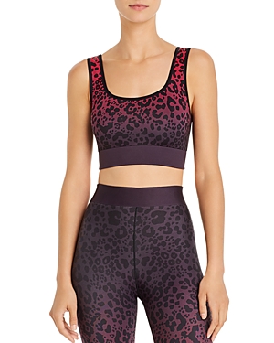 Cor Designed By Ultracor Ombre Leopard Print Sports Bra In Merlot/current