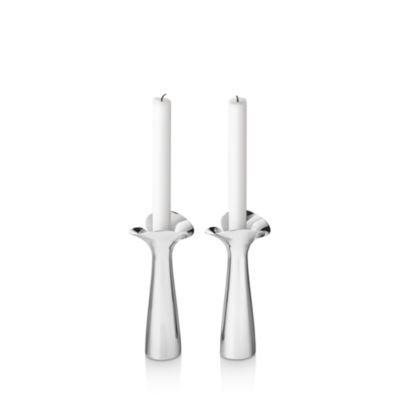 Bloom Botanica 2-Piece Candleholder Set