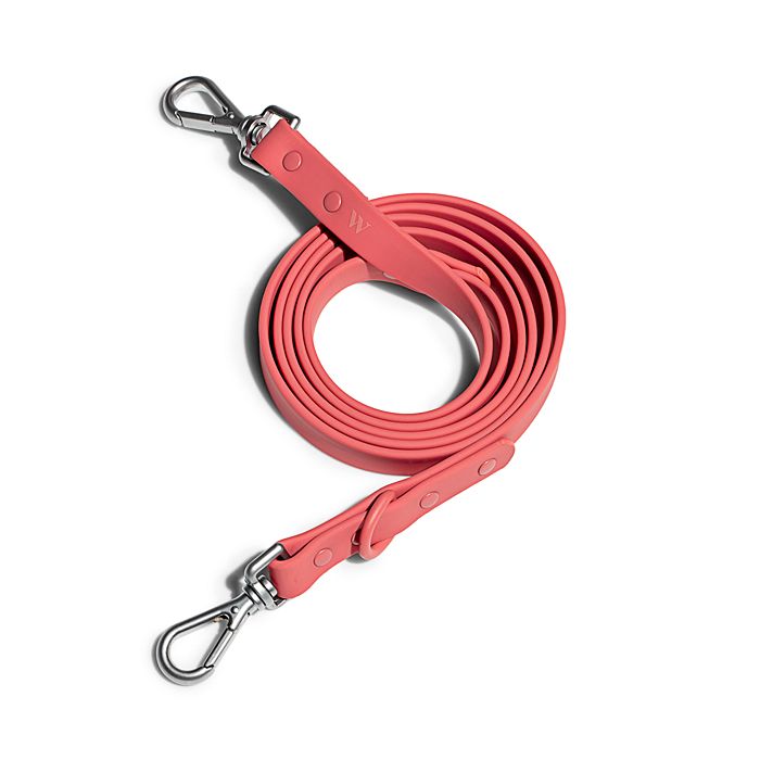 Wild One Pet Leash In Red