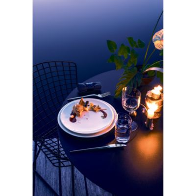 New Moon Gourmet Plate