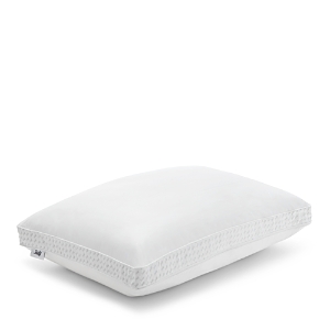 Sealy Down Alternative & Memory Foam Pillow, Standard