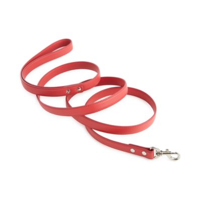Luxe 6' Dog Leash