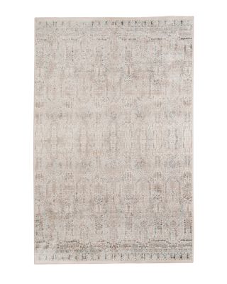 Amer Rugs Cambridge Cam-2 Area Rug, 5'3 x 7'6