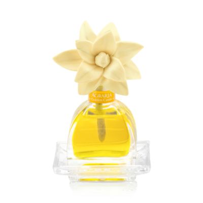 PetiteEssence, Golden Cassis