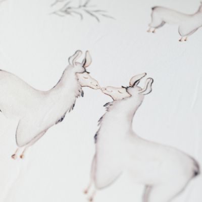 Llama Jersey Crib Bedding Collection