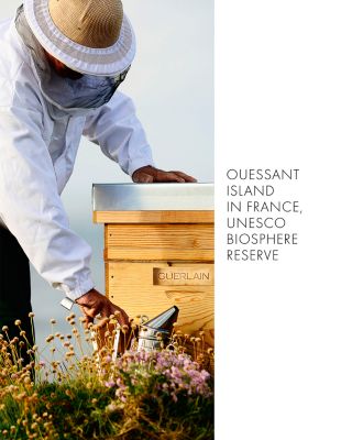 Abeille Royale Repairing & Youth Hand Balm 1.3 oz.