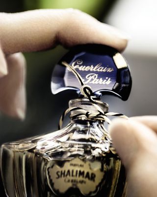 Shalimar Eau de Parfum, 3.0 oz