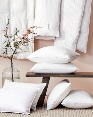 My Warm Asthma &amp; Allergy Friendly Down Comforter, Queen - Exclusive