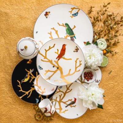 Aux Oiseaux Dinnerware