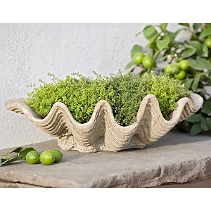 Campania International South Seas Planter In Alpine Stone