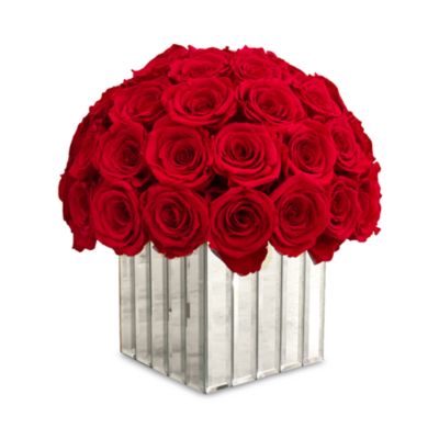 Rose Box Nyc Modern Premium Half Ball of Roses