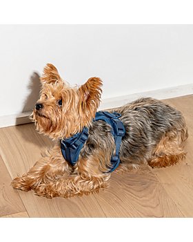 Luxury Dog Collar Dog Gift - Italian Leather Designer Dog Collar - Cute Dog Collar - Durable Dog Collar with Bow - Stylish and Comfortable Dog Collar