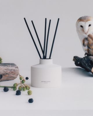 Wild Berry & Bramble Diffuser 11.8 oz.