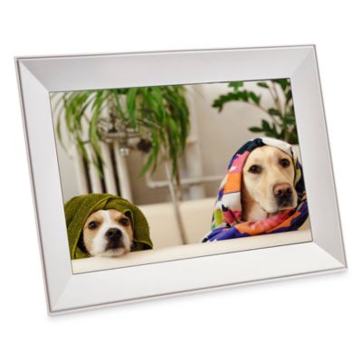 Aura - Buddy Digital Picture Frame