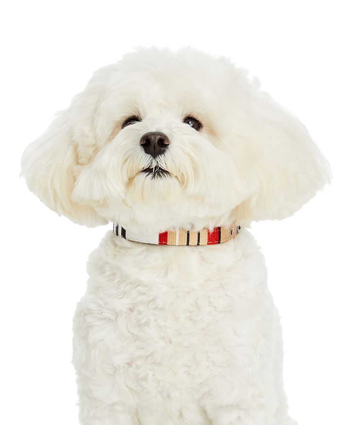 Bloomingdales clearance dog accessories