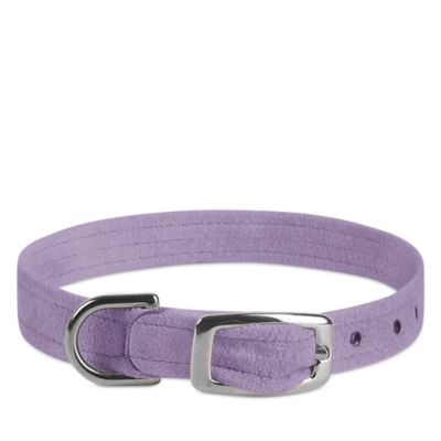 Crystal Paws Collar