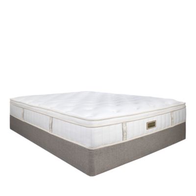 Asteria - Beth Plush Euro Top Mattress - Exclusive
