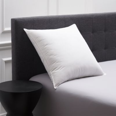 My Euro Pillow - Exclusive