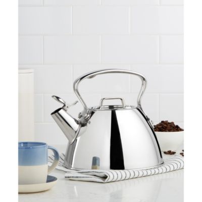 Stainless Steel Tea Kettle