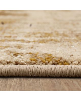 Vanguard Ephemeral Area Rug Collection