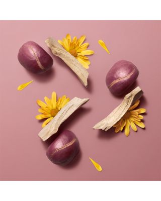 Herm&egrave;sistible Infused Lip Care Oil 