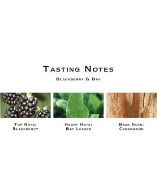 Blackberry &amp; Bay Diffuser